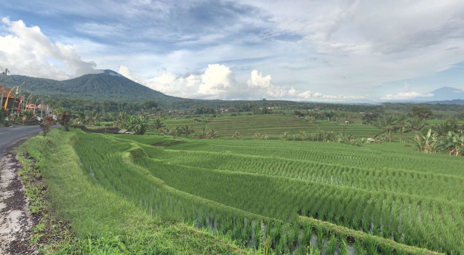 Jatiluwih Rice Terraces In Tabanan Jatiluwih Rice Terraces In Tabanan